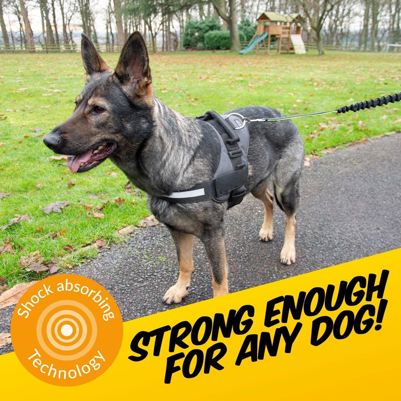 PawPride 7in1 Reflective Hands-Free Dog Adjustable Belt 1.6m Lead -