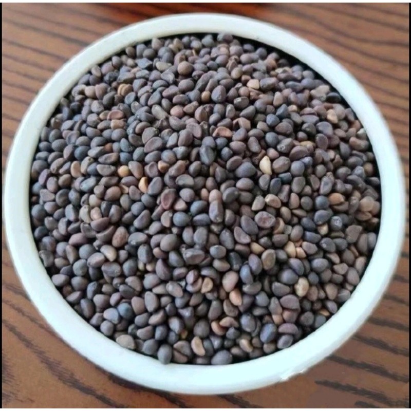 Seed-Top 100+ Seed Water Spinach White for Yard & Garden