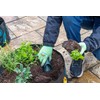 Burgon & Ball Growing Gardeners Soil Scoop (set of 3)