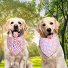 QUQULE Spring Dog Bandana Girl Large 2PCS, Pink Purple Daisy