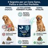 FERMENTIFLORA - Probiotici per Cani Appetibili, Fermenti Lattici Cani e