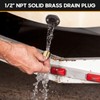 HAPDEN Boat Plugs 1/2 Inch Npt Solid Brass Boat Drain