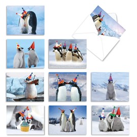 The Best Card Company - 10 Cute Birthday Note Cards with Envelopes (4 x 5.12 Inch) - Pets and Animal Notecards, Boxed Assortment - Penguins and Greetings AM2951BDG-B1x10