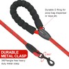 Rope Dog Leash 4 FT for Medium and Large Dogs,Heavy