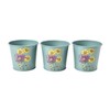 Burgon & Ball RHS Gift Herb Pots Asteraceae