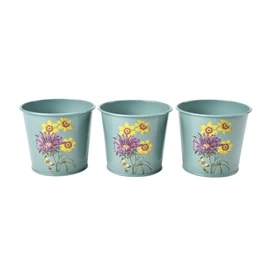 Burgon & Ball RHS Gift Herb Pots Asteraceae