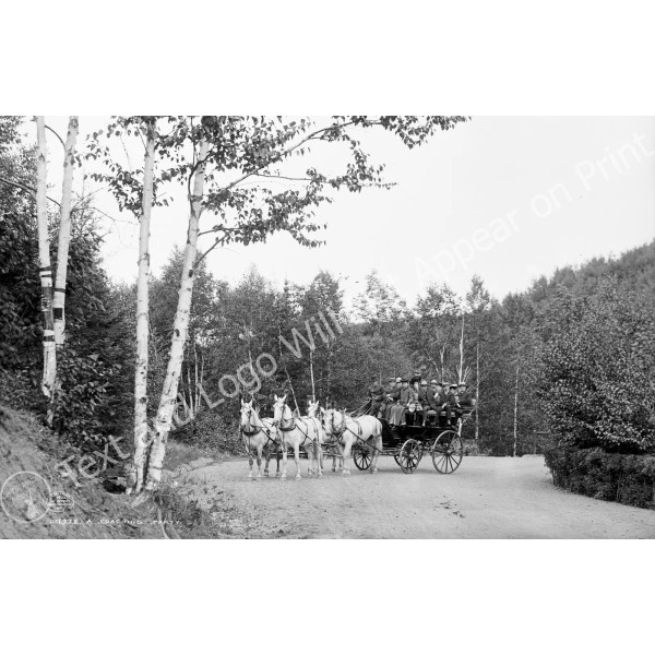 1906 Coaching Party on Boulevard Drive, Duluth, MN Old Photo