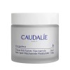 Caudalie 꼬달리 비노퍼펙트 다크스팟 모이스처라이저 크림 50ml 광채 화이트닝 Caudalie Vinoperfect Dark Spot Moisturizer Cream 50ml Radiance Whitening [Moisturizer 50ml]