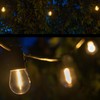 Wintergreen Lighting 15ft S14 Shatterproof Outdoor String Lights, 10 Edison