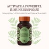 Loviral Softgels 60 ct. Herbs Etc.
