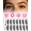 EMEDA Natural Lash Clusters C Curl Wispy Eyelash Clusters Natural