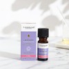 Tisserand Lavender Organic Pure Essential Oil 9ml