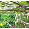 Mesoga 4.6-10 Foot Extendable Tree Pruner, Cut and Hold Pruning