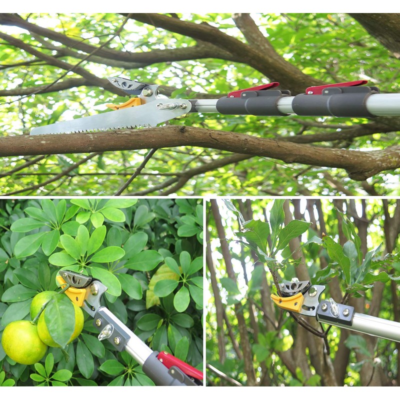 Mesoga 4.6-10 Foot Extendable Tree Pruner, Cut and Hold Pruning
