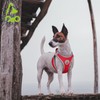 DOCO X Small Dog Harness Step In Reflective Dog Vest