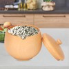 Sour Jujube Wood Condiment Jar Japanese Safe Dustproof Classic Flip