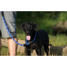 Terrain D.O.G. Rope Slip Lead, 1/2 x 4-Feet, Black