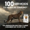 Cla + Carnitina Suplemento Stormcheetah 1kg Polvo 100servis
