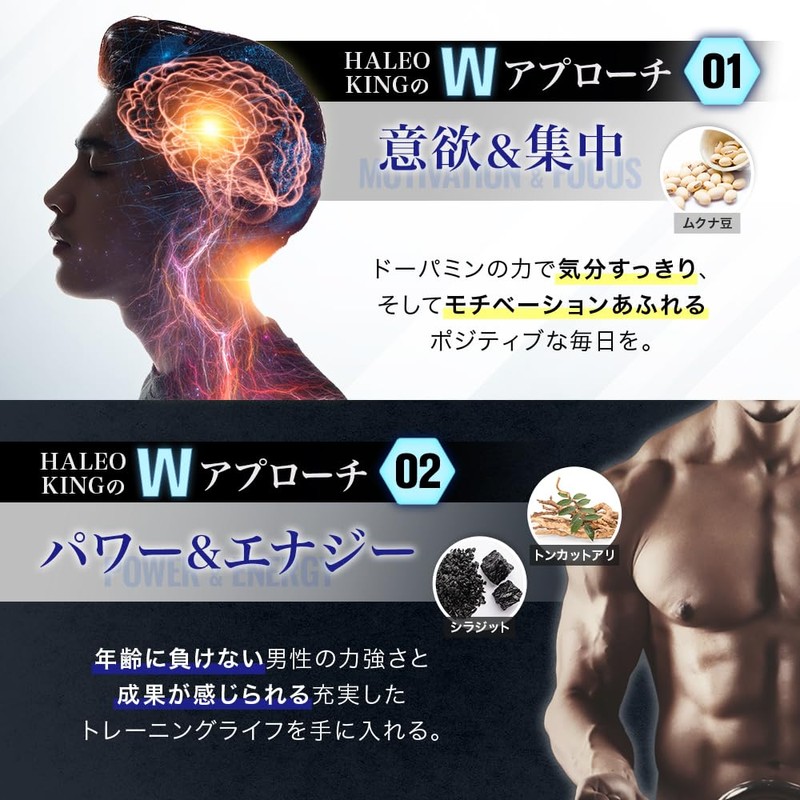 HALEO KING(キング) ムクナ豆 15000mg 精製シラジット 7500mg トンカットアリLJ100 6000mg 厳選3種成分配合 120カプセル