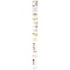 Eveever Diamond Ampoule Arbutin (2ml / 이브에버 다이아몬드 앰플 알부틴