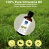 GM Gumili Citronella Essental Oil for Diffuser Aromatherapy - 1