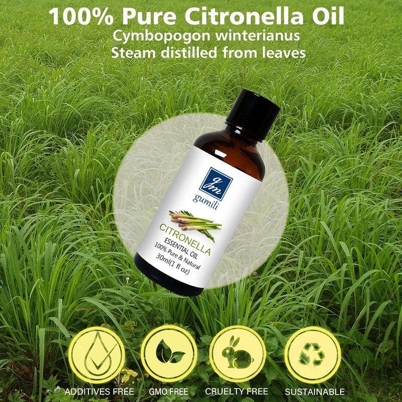 GM Gumili Citronella Essental Oil for Diffuser Aromatherapy - 1