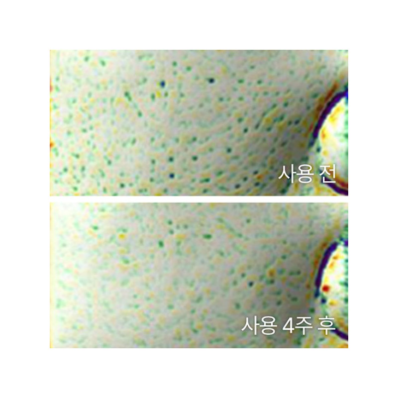 Innisfree 이니스프리 블랙티 유스 인핸싱 앰플 30mL Innisfree Black Tea