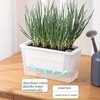 AIMALL Self-Watering Square Planter for Indoor Gardening, Balcony Vegetable Pot