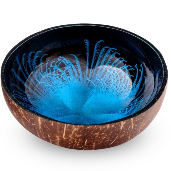 Cocovibes Coconut Bowl Buddha Bowl Lacquered Hand-Made and Environmentally Friendly