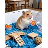 DIYUQISHI 10-Pack Hamster Play Balls, PP Plastic Toys, 1.5–2.2 Inch