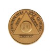 16 Year AA Medallion Traditional Bronze Raised Center Sobriety Chip
