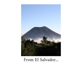 Don Leo Coffee from El Salvador - Ground