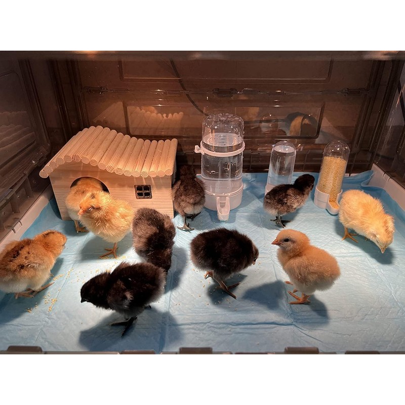 HKDQ Chick Brooder,Brooder Box for Chicks,Brooder Heater Warms up to