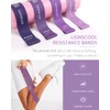 LIONSCOOL Pilates Ring Set (Purple)