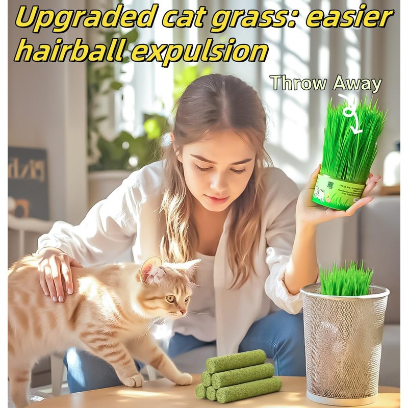 NSWXZDS 6Pcs Cat Toys Cats Grass Treat for Indoor Cat
