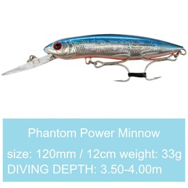 SEABUZZ Power Minnow Wobbler for Pike & Zander & Perch 33 g 12 cm Flat Runner 3.5-4 m - 2 Treble Hooks Fishing Lures - Predator Fishing Bait - Artificial Bait - Pike Bait - Fishing Lures - Fishing