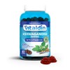 VITALDIN Ashwagandha Gummies – 300 mg Ashwagandha Root Extract KSM-66