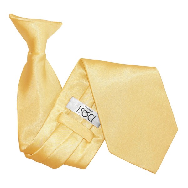 DQT Men's Plain Satin Polyester Easy to Wear Clip On