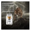 Stormcheetah Suplemento Creatina + Glutamina 1 Kg Sabores