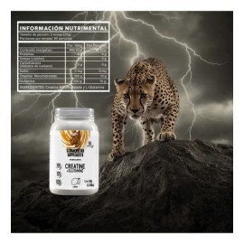 Stormcheetah Suplemento Creatina + Glutamina 1 Kg Sabores