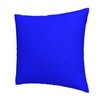 FHJLOVENEEDS Set of 2 Royal Blue Throw Decorative Couch Pillow