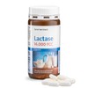 Sanct Bernhard Lactase Capsules 14,000 FCC Units 150 Capsules