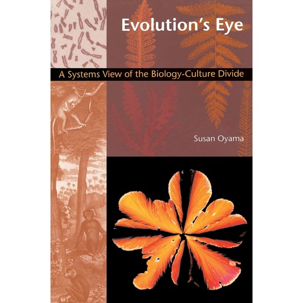 Evolution's Eye: A Systems View of the Biology-Culture Divide