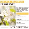 EUQEE Orange Blossom Fragrance Oils, 2.02 Fl oz/60ml Essential Oils