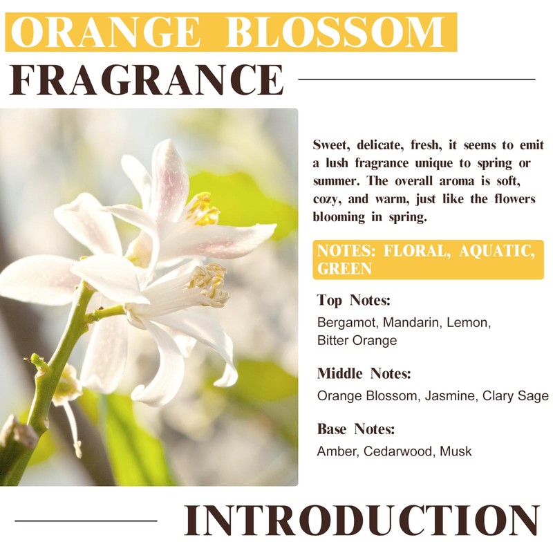 EUQEE Orange Blossom Fragrance Oils, 2.02 Fl oz/60ml Essential Oils