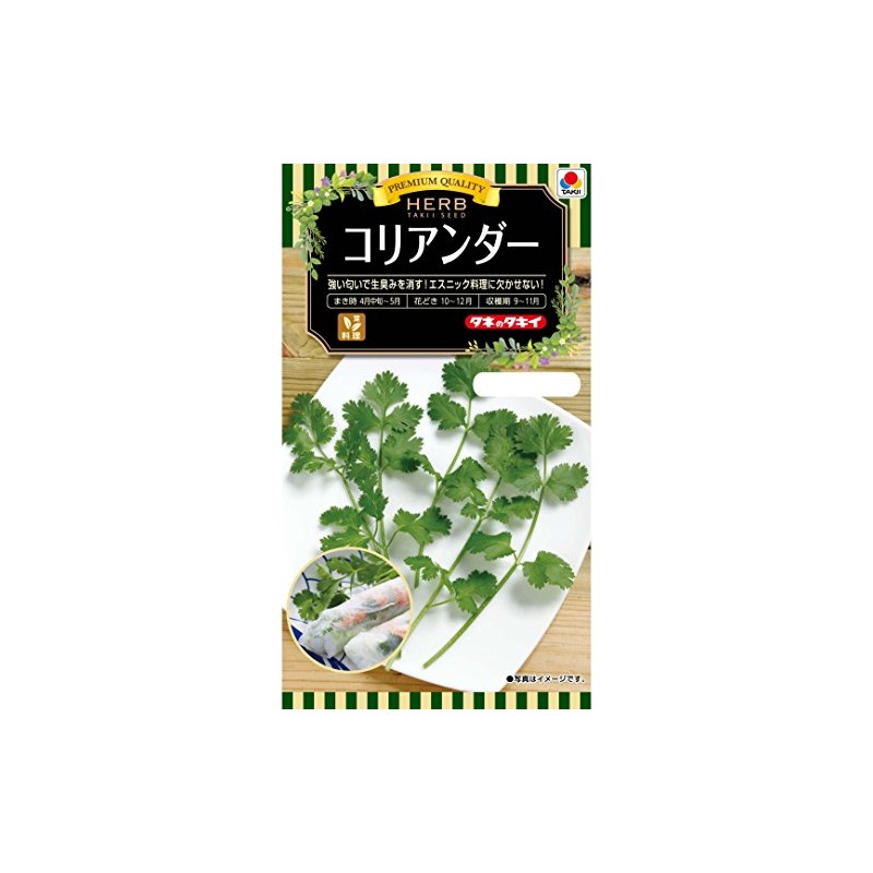 Takii Seedling Herb Coriander
