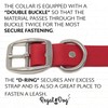 Regal Dog Products Large Red Waterproof Dog Collar and Leash