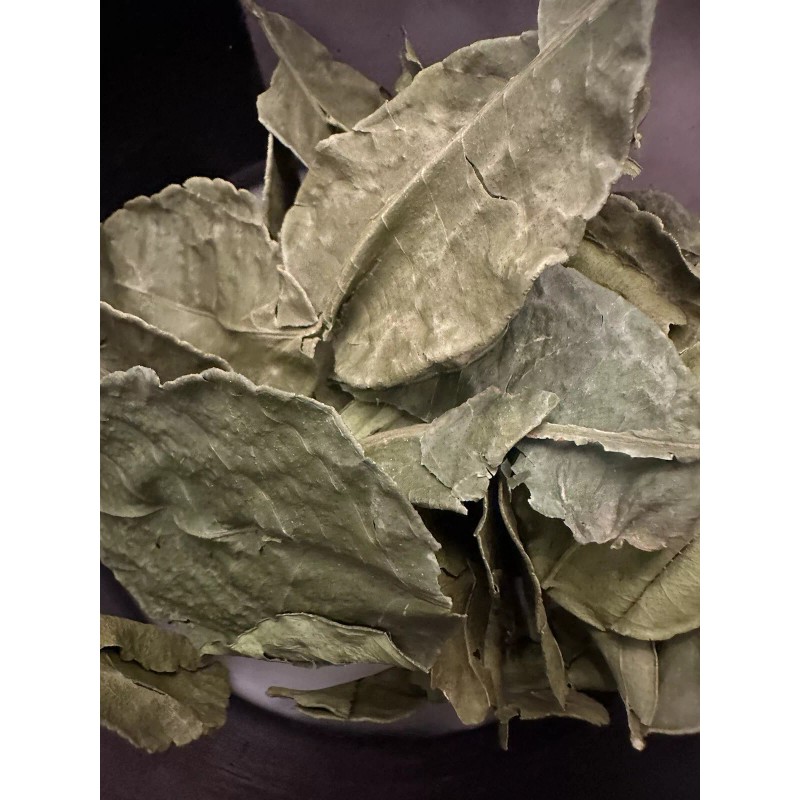 Aroma Coffee NG Goodtime Aroma Dried Kaffir Like Leaves Tea