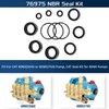 Sunluway 76975 Seal Kit CAT Seal Kit for 4DNX Pumps