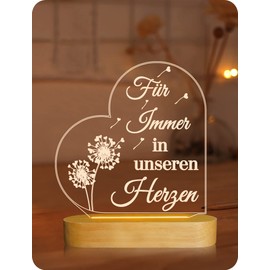 Lightzz Gifts for Mourning, Sympathy Gift, Memorial Gift, Night Light, Condolence Sign, Memory Beautiful Cardinal 3D LED Lamp Decor Gift for Loss of a Loved One